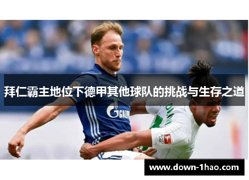 拜仁霸主地位下德甲其他球队的挑战与生存之道 拜仁霸主地位下德甲其他球队的挑战与生存之道