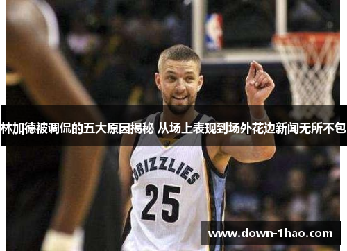 林加德被调侃的五大原因揭秘 从场上表现到场外花边新闻无所不包