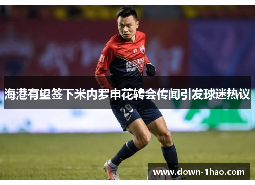 海港有望签下米内罗申花转会传闻引发球迷热议 海港有望签下米内罗申花转会传闻引发球迷热议