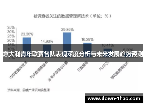 意大利青年联赛各队表现深度分析与未来发展趋势预测 意大利青年联赛各队表现深度分析与未来发展趋势预测
