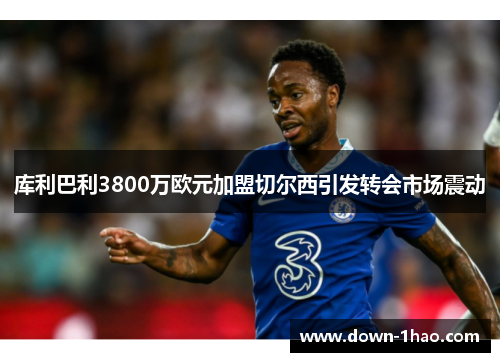 库利巴利3800万欧元加盟切尔西引发转会市场震动