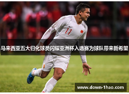 马来西亚五大归化球员闪耀亚洲杯入选赛为球队带来新希望 马来西亚五大归化球员闪耀亚洲杯入选赛为球队带来新希望
