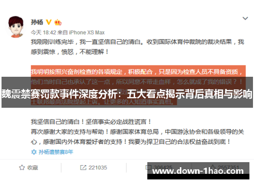 魏震禁赛罚款事件深度分析:五大看点揭示背后真相与影响 魏震禁赛罚款事件深度分析:五大看点揭示背后真相与影响